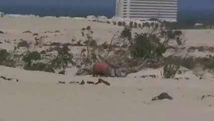 彼は彼の妻を犯すために潤滑油で彼のコックを埋める（残酷なオーディオ！）